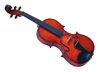 Gliga Violin 4/4 Genial II